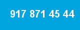 917 871 45 44 917 871 45 44